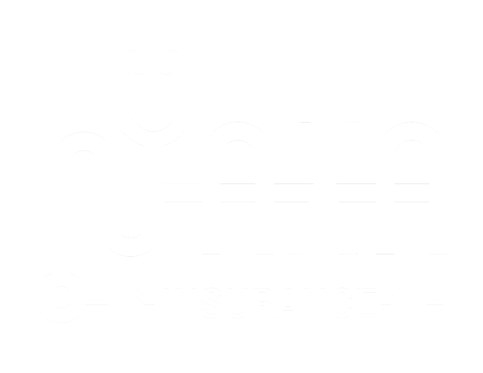 naxainsurance.com
